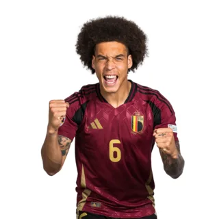 Axel Witsel, Investor & Ambassador