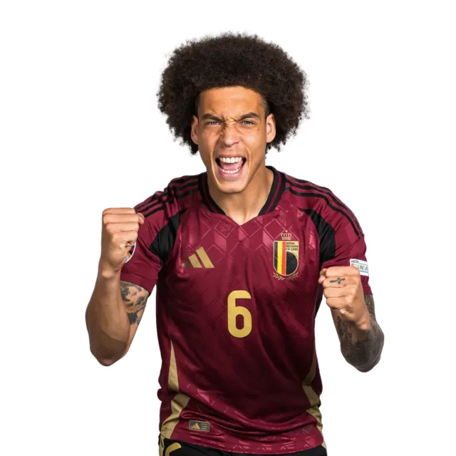 Axel Witsel